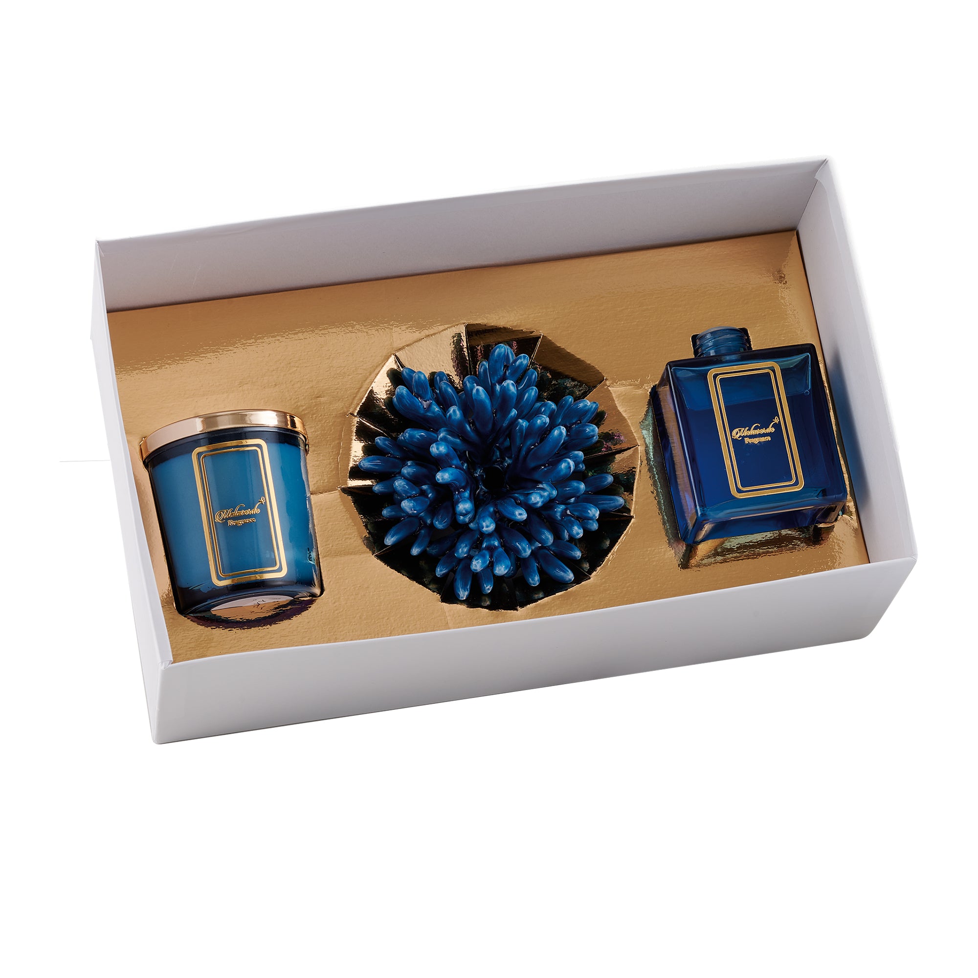 Box Corallo Blu