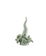 Corno Orchidea Salvia