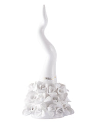 Corno Orchidea Bianco
