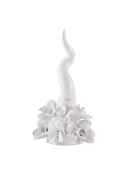 Corno Orchidea Bianco